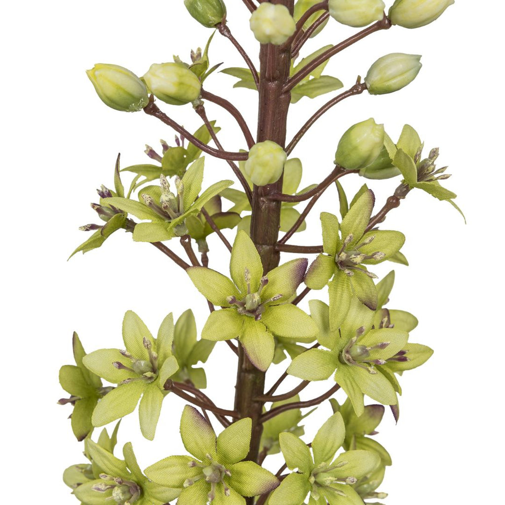 BARBARA - KUNSTIG BLOMST - EREMURUS GA1225003-51 - LIME